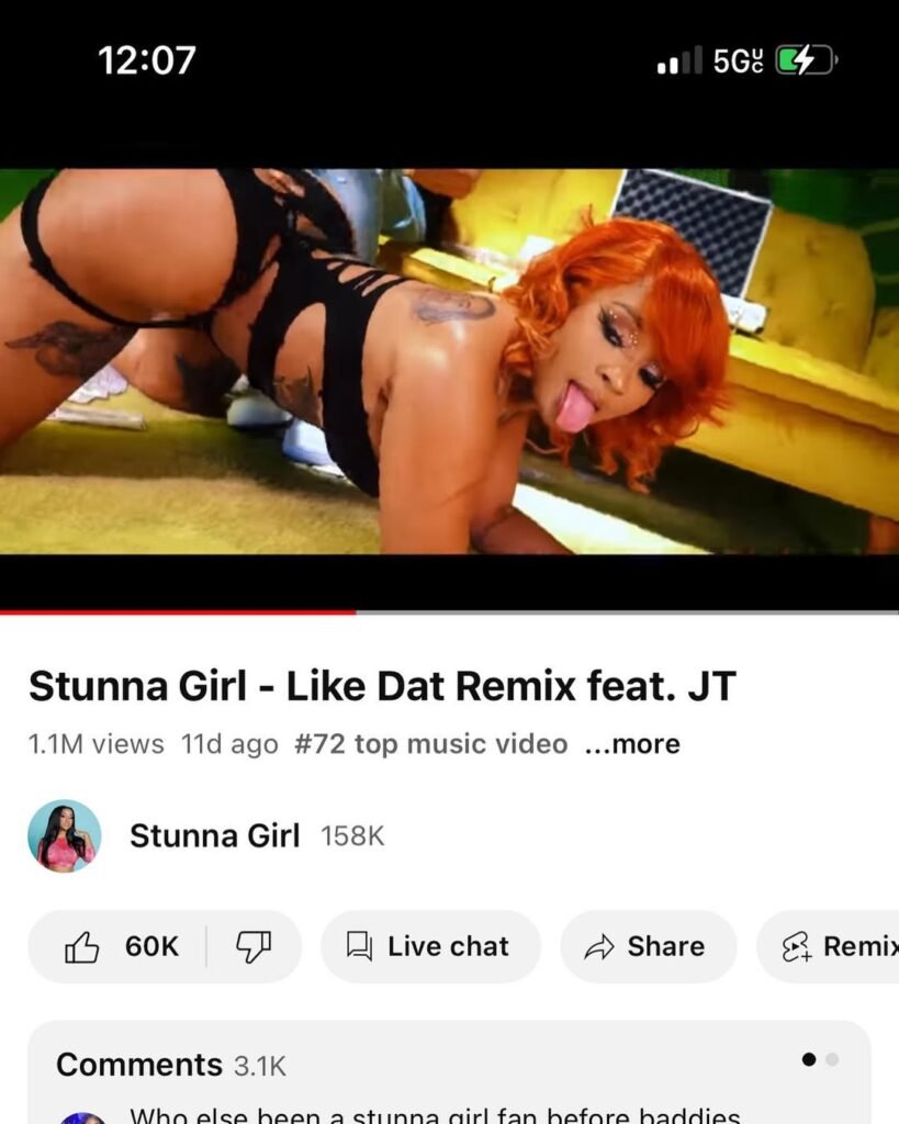 Stunna Girl youtube video